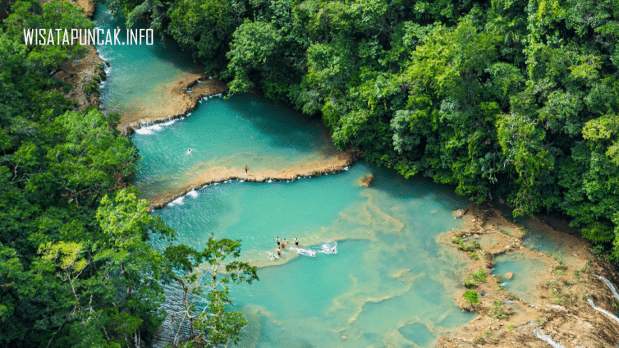 wisatapuncak.info