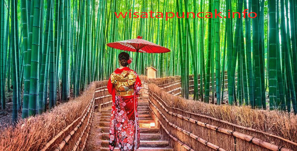 Hutan Bambu Arashiyama