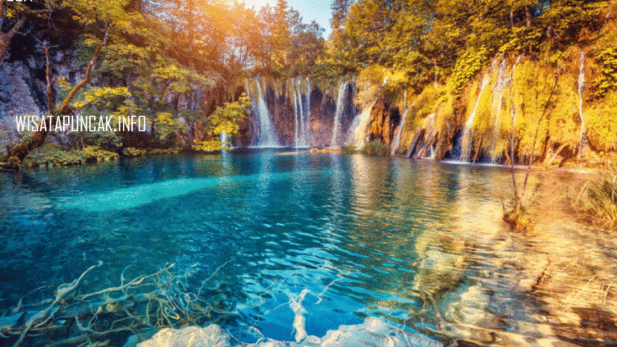 wisatapuncak.info