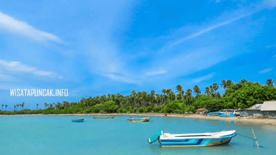 wisatapuncak.info