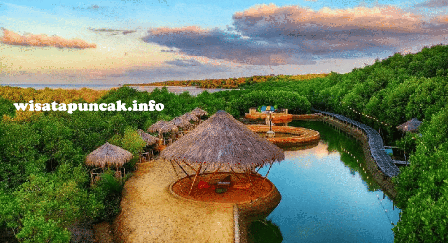 wisatapuncak