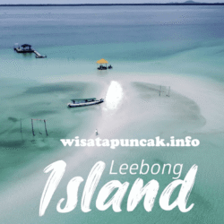 wisatapuncak