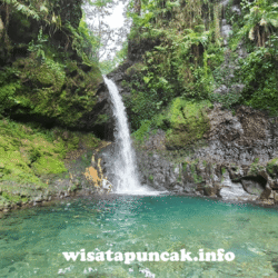 wisatapuncak