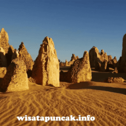 wisatapuncak