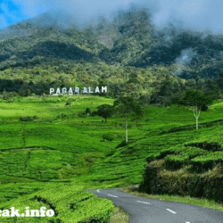 wisatapuncak