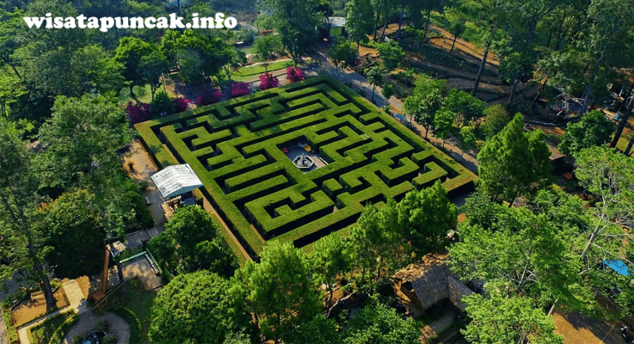 wisatapuncak