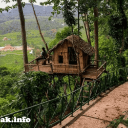 wisatapuncak