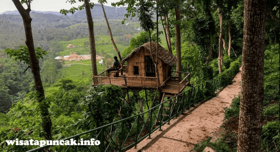 wisatapuncak