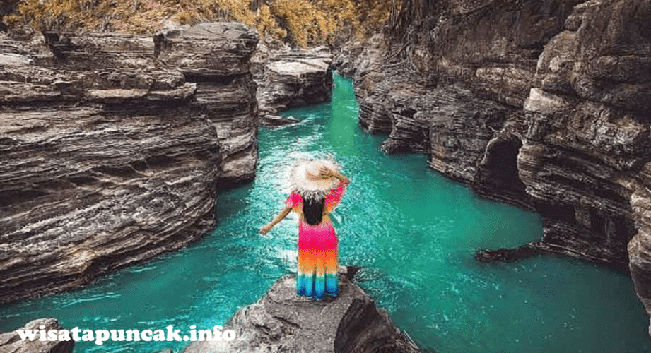 wisatapuncak