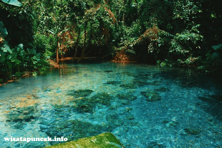 wisatapuncak