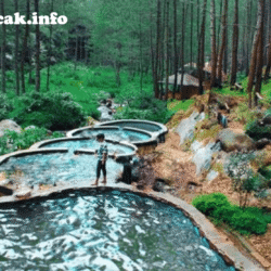 wisatapuncak