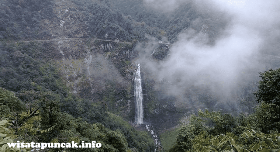 wisatapuncak