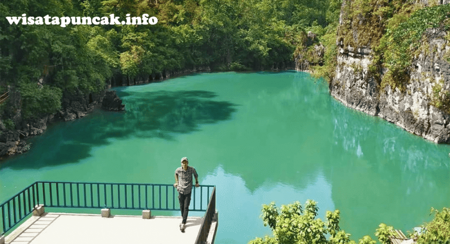 wisatapuncak