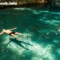 wisatapuncak