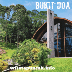 wisatapuncak