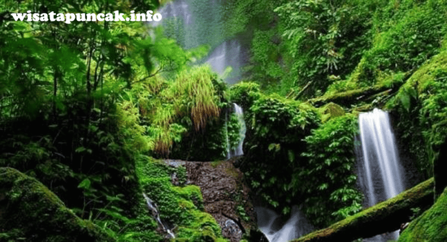 wisatapuncak
