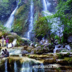 wisatapuncak