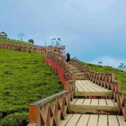 wisatapuncak