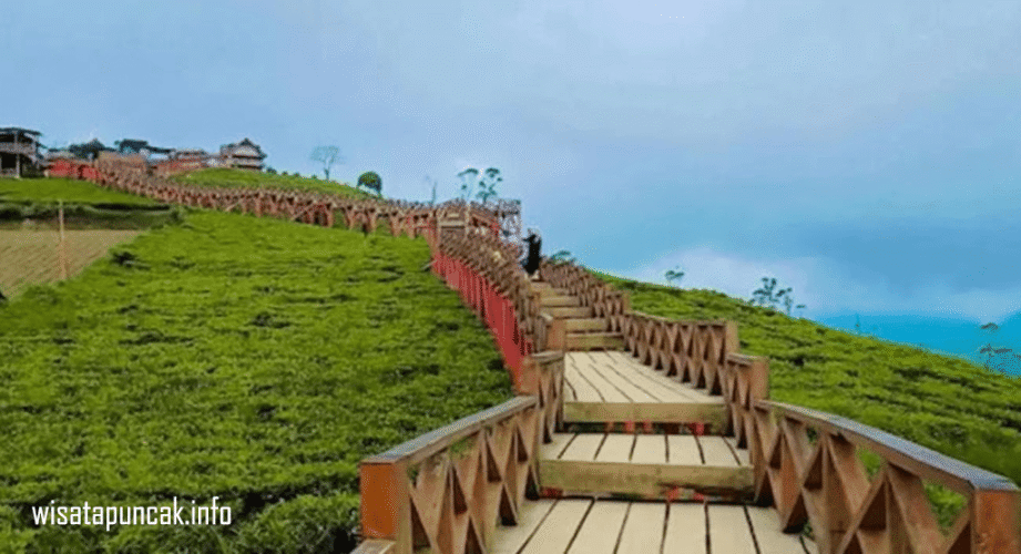 wisatapuncak