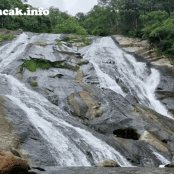 wisatapuncak