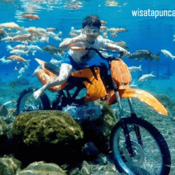 wisatapuncak