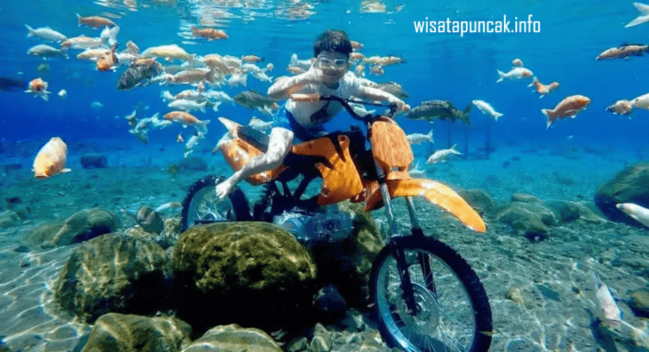 wisatapuncak