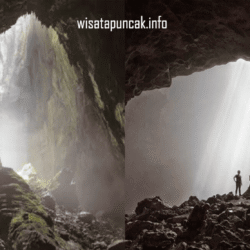 wisatapuncak