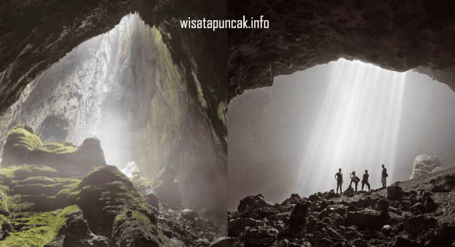 wisatapuncak