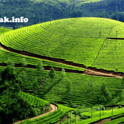 wisatapuncak