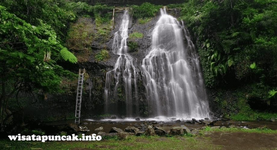 wisatapuncak