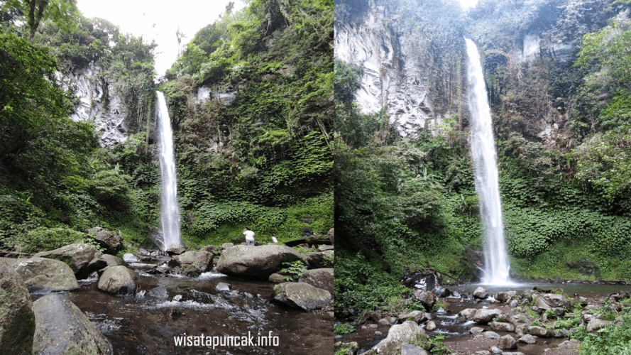 wisatapuncak