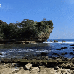 wisatapuncak