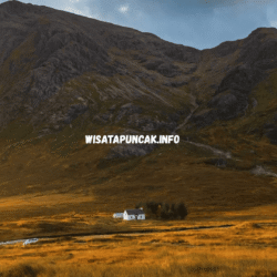 wisatapuncak.info