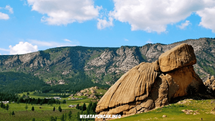 wisatapuncak.info