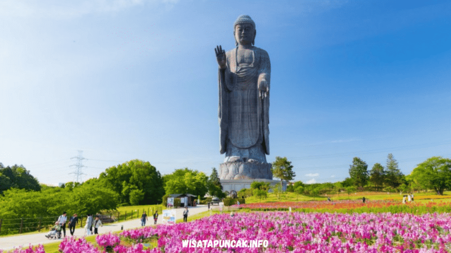 wisatapuncak.info