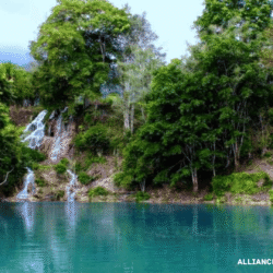 alliancefordemocracy.info