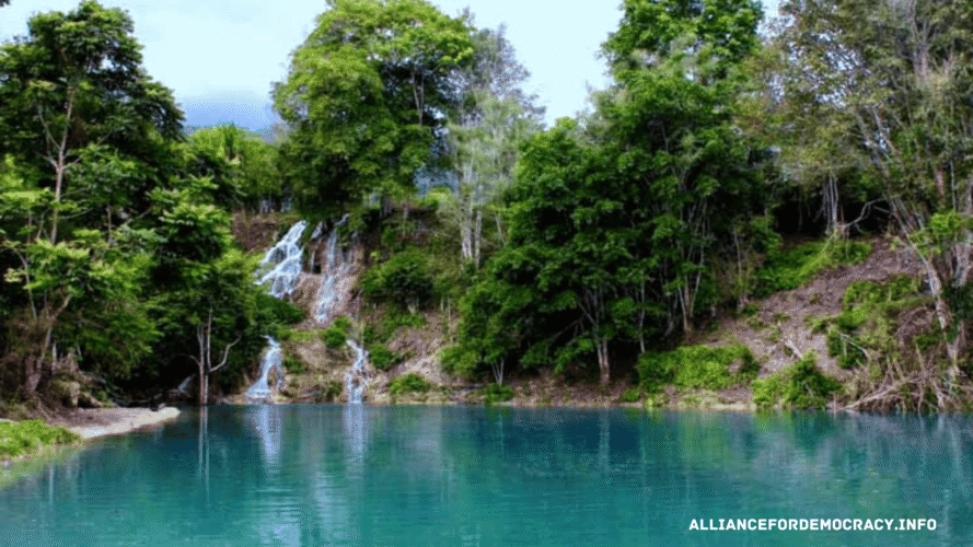 alliancefordemocracy.info