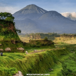 wisatapuncak.info