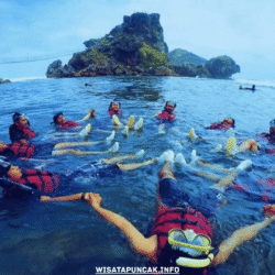 wisatapuncak.info