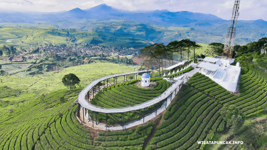 wisatapuncak.info