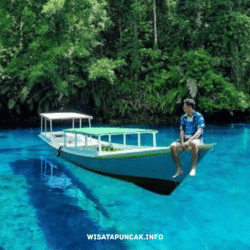 wisatapuncak.info