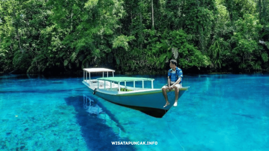 wisatapuncak.info